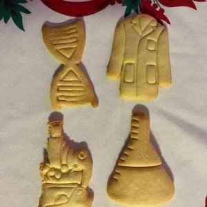 The cookie cutters are a good size but their use is very delicate, because of a lot of details. The coat is good, the DNA molecule too, the Erlen flask is mediocre and the microscope doesn't work at all though. -Song (⭐⭐⭐⭐)