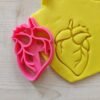 Anatomy Cookie Cutter Set- Heart, Brain, Ear, Intestines, Lungs, Kidney, and Uterus.