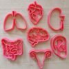 Anatomy Cookie Cutter Set- Heart, Brain, Ear, Intestines, Lungs, Kidney, and Uterus.